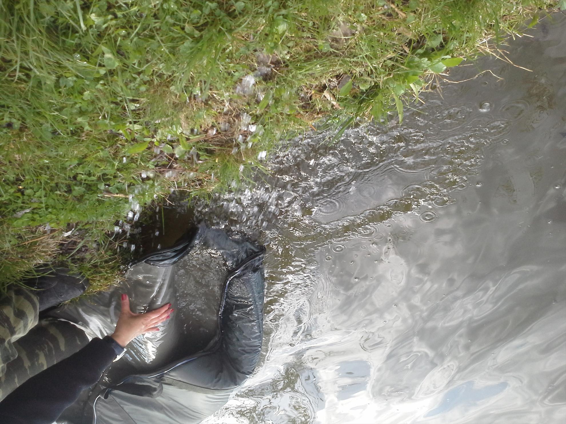 Pescuit la crap - 2013041417385511.jpg